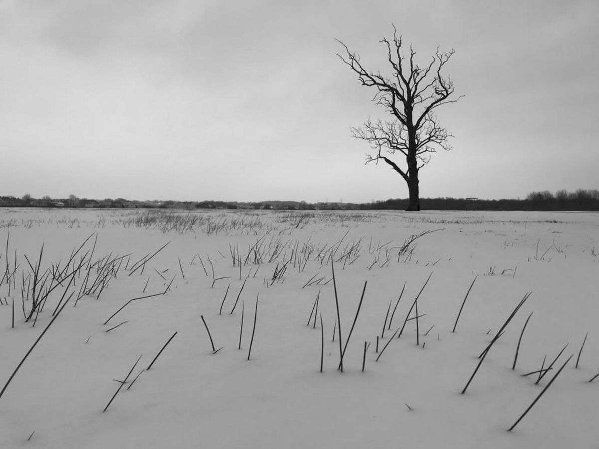 Short Story “Yeti” Published by Bridge&nbsp;Eight