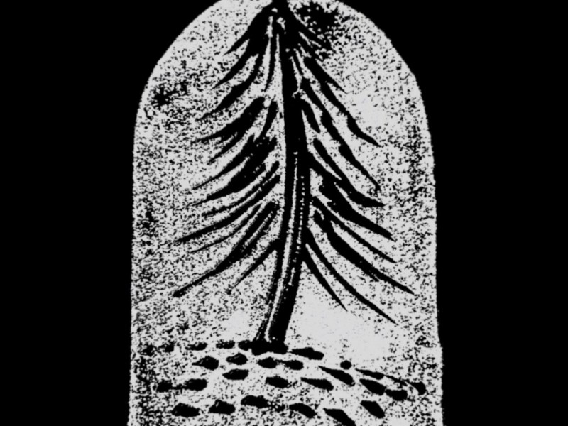 Releasing Songs FOr The&nbsp;World-Weary